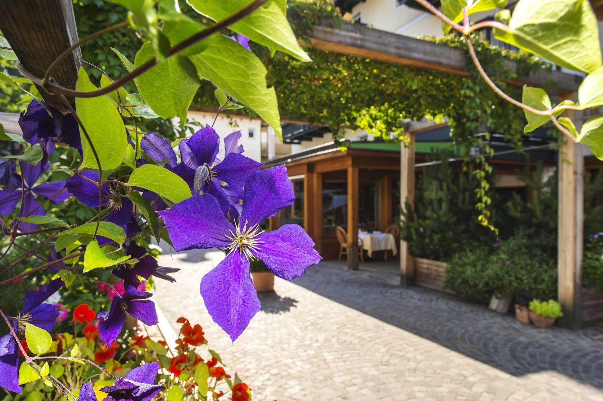 Hotel Drumlerhof Campo Tures Luaran gambar